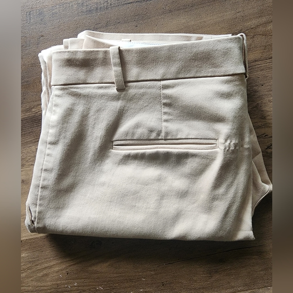 Ann Taylor Pants